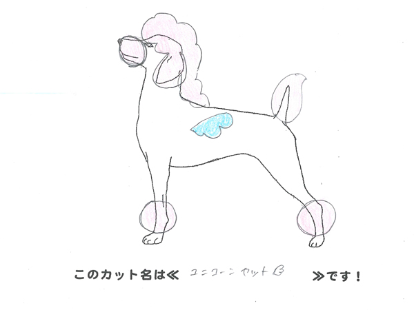 カットのデザインを考えました！